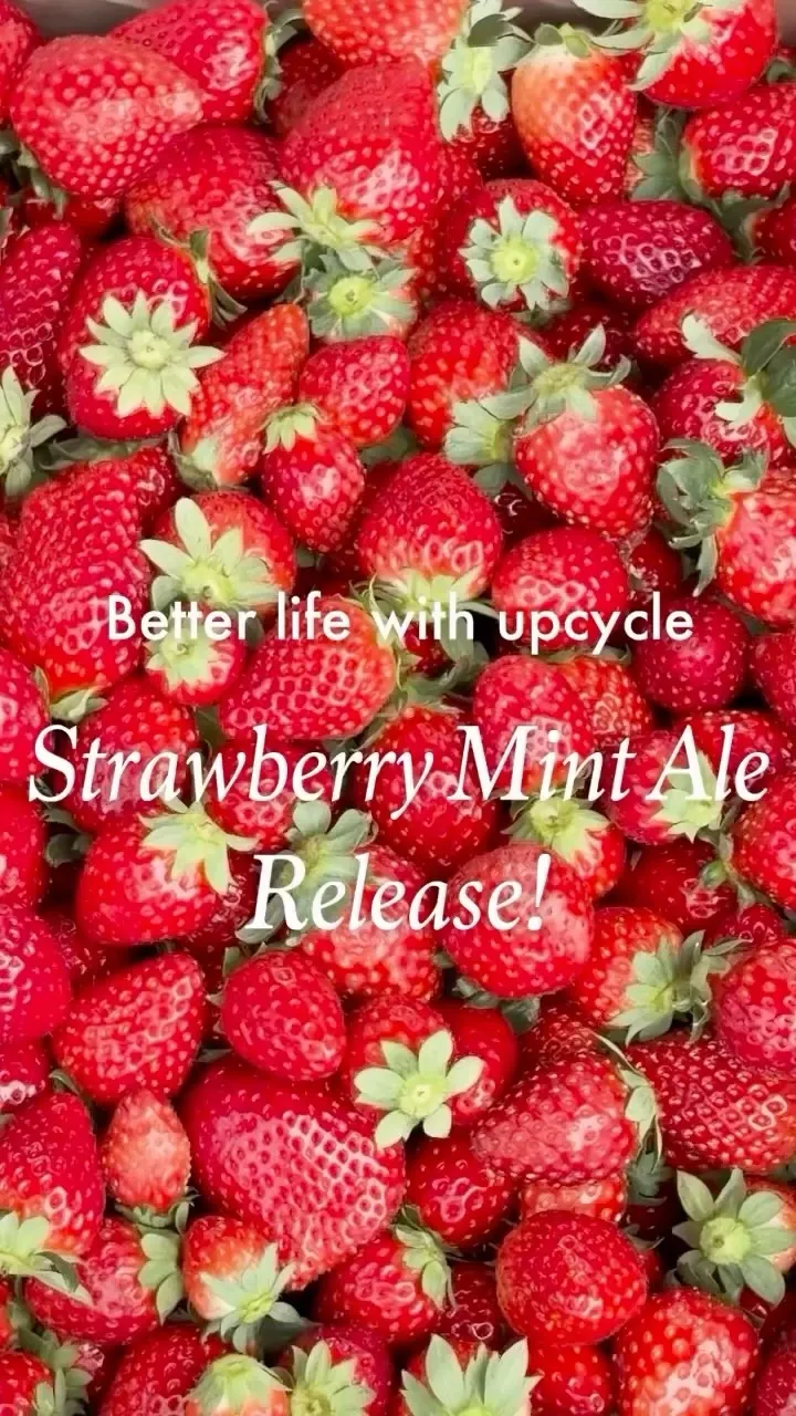 Better life with upcycle、海老名産いちごの『Strawberry Mint Ale』発売