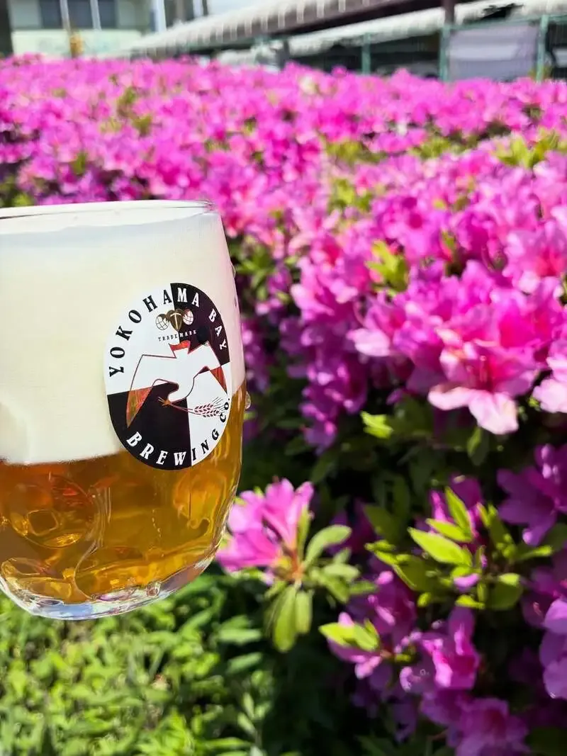 横浜ベイブルーイング戸塚支店で14種のタップ更新、鬼伝説や奈良醸造も