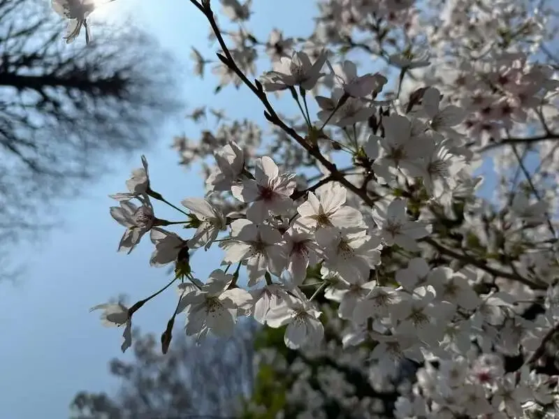 CRAFT BEER アントンビー六本木、3/29は樽生10種を揃えて16時開店