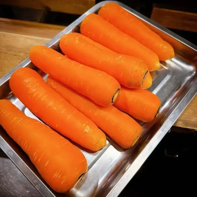 TBE Brewing、4月9日のタップリストを公開　CRAKのPIZZAPILS FREE STYLEなど16本