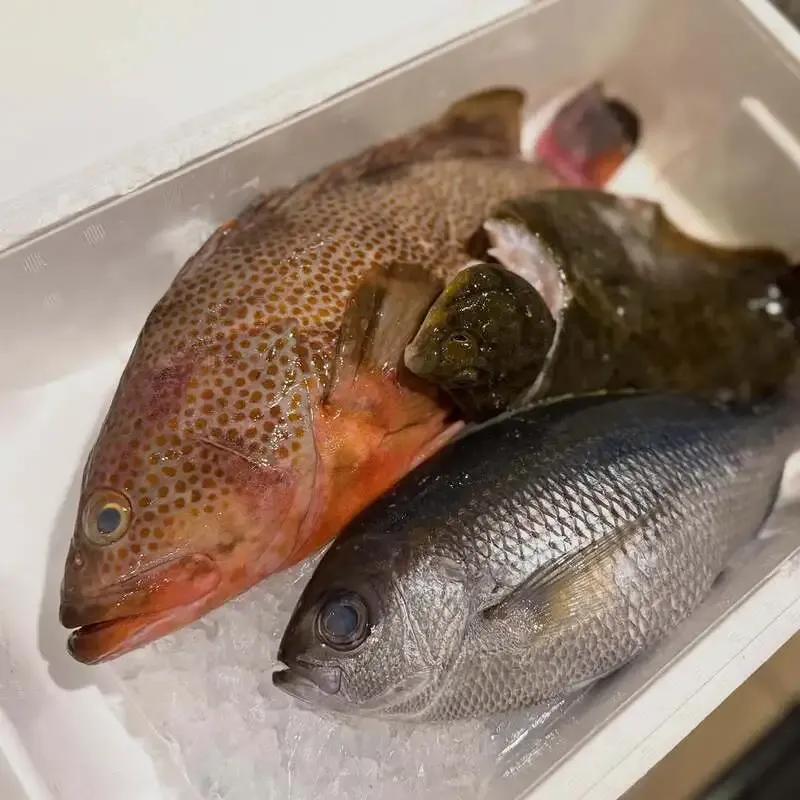 Yokohama Bay Brewing Kannai Honten highlights 14 beers for seafood pairing