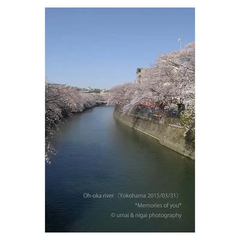 15breweryで3月25日タップ更新、Raw Hazy IPA含む5種を提供