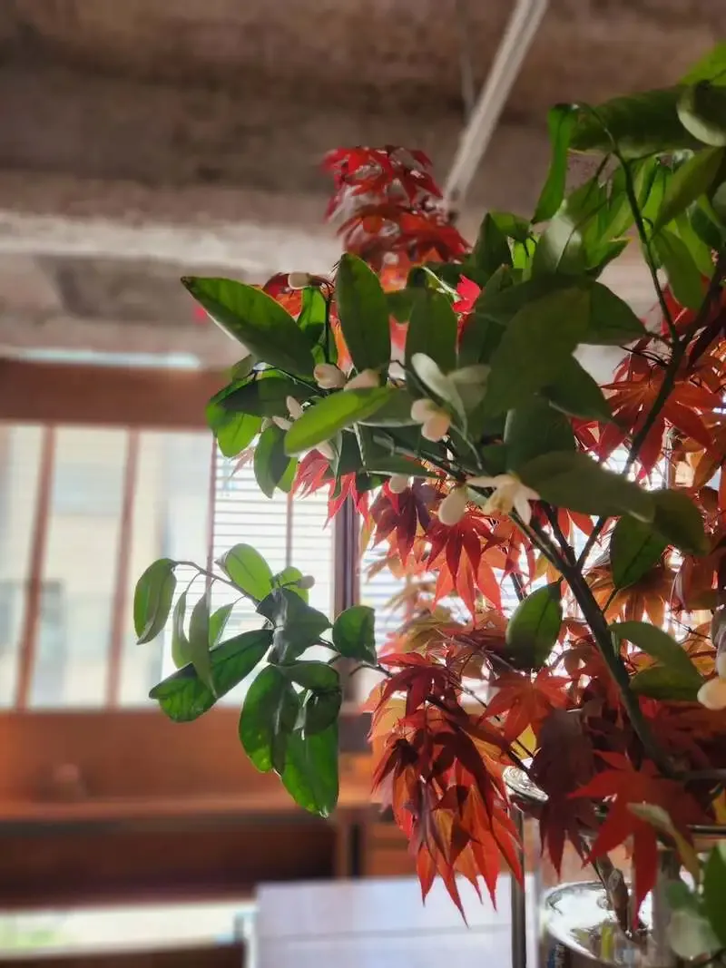 BEER BAR Bitter、4月20日月曜は16時開店　神楽坂のビアパブで世界のビールを