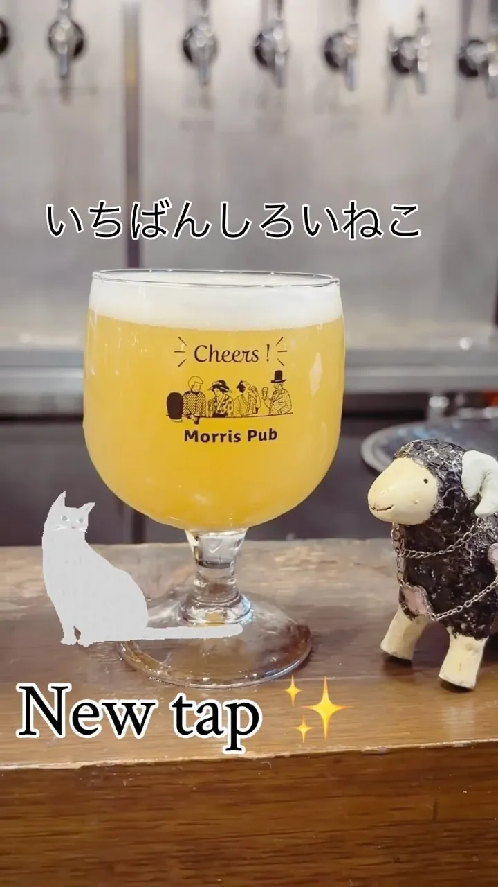 大名のモーリス ブラックシープで「いちばんしろいねこ」が登場