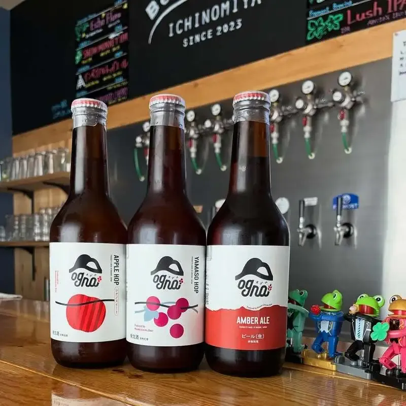 Guide to Tasting Three Guest Beers at Beer Cellar Ichinomiya