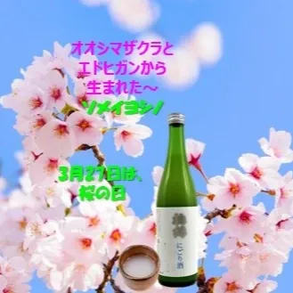 梅錦山川、3月27日「さくらの日」に合わせ春のにごり酒を案内