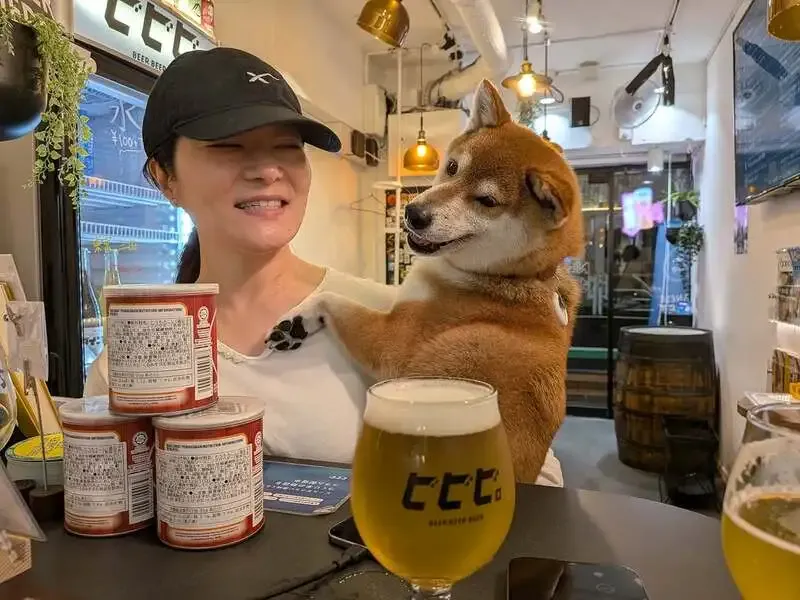 Bibibi. in Daikanyama updates its pet-friendly 10-tap lineup