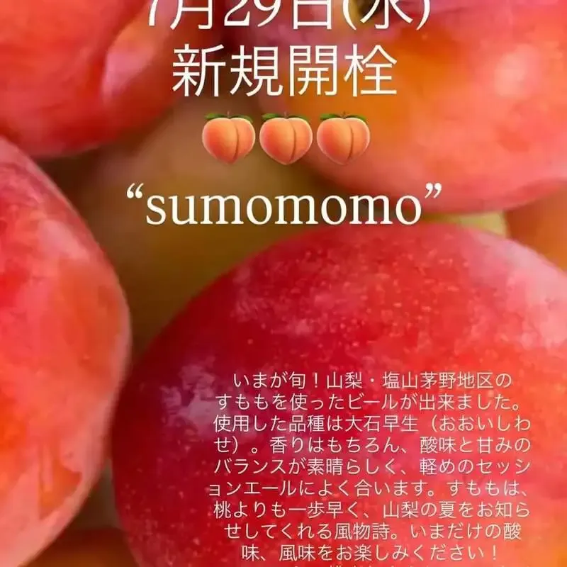 アンドビール高円寺、7月29日営業で自家醸造「SUMOMOMO」を案内