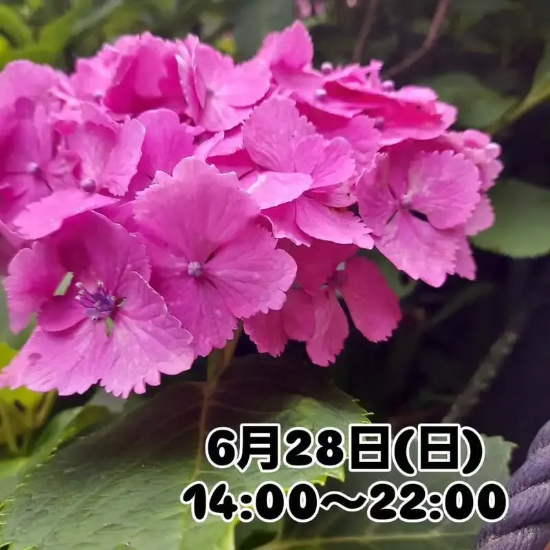 BEER HUNTING URAWA、6月28日に鬼伝説やY.MARKETなど10タップを案内