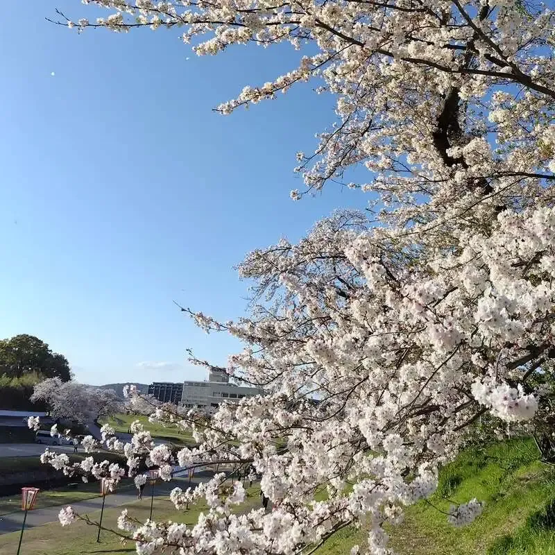 岡山・CRAFT Rainbowで5タップが開栓　しまなみ、伊勢角屋など登場