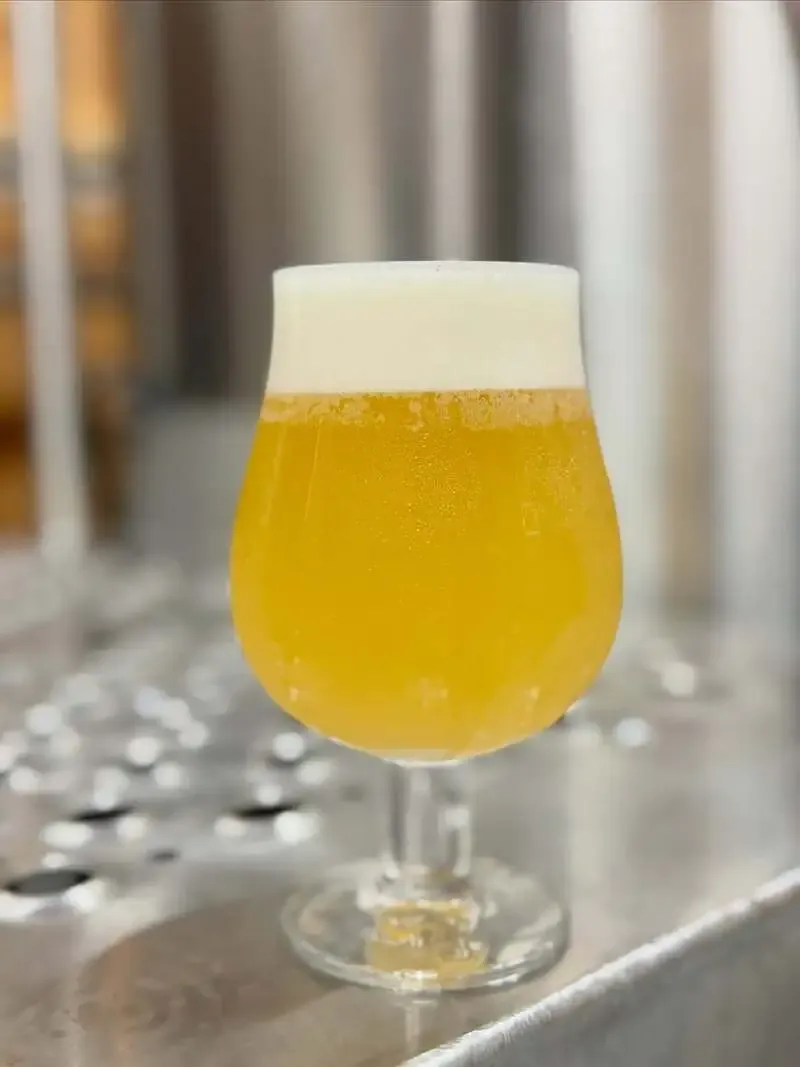 Nagano Brewery to launch its green-plum sour ale "Seijo" on August 13