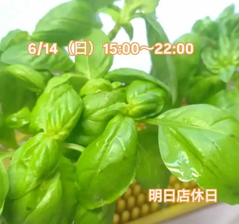 Beer Pub ねことあざらし、6/14は城端麦酒や志賀高原ビール含む10種タップリスト