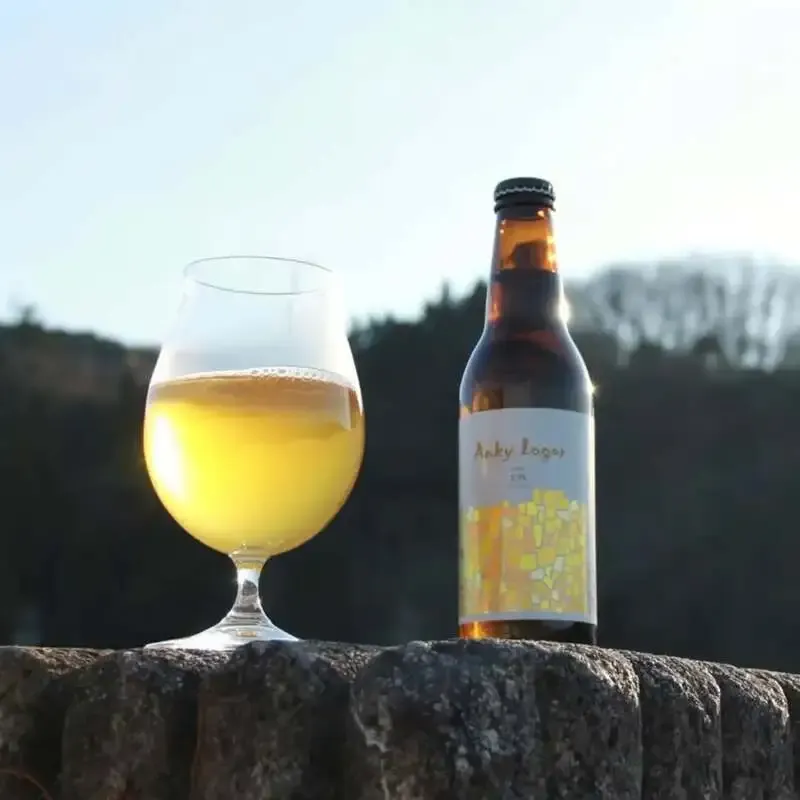 大阪・枚方のBeer House Hobbit、ピルスナーとタコスを楽しむ火曜日の樽生6種