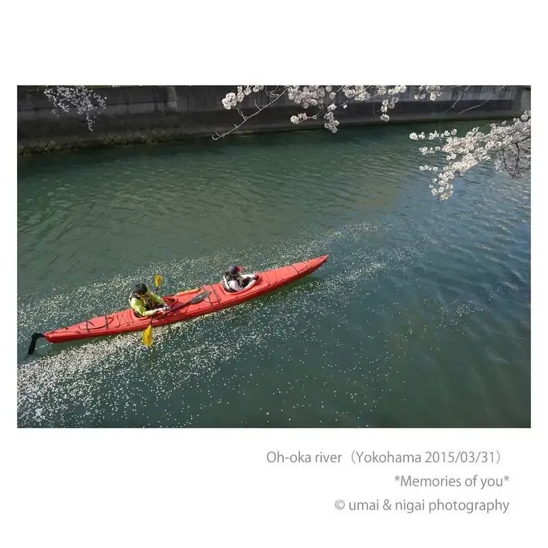 15brewery、3月29日に5種のタップリストを案内　Wheat LandとRaw Hazy IPAも