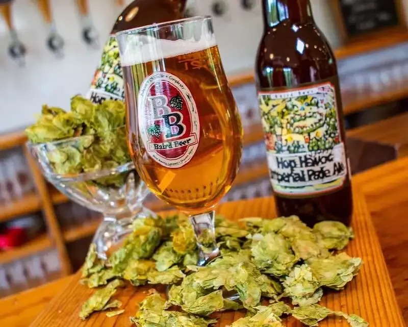 Baird Brewery Garden Shuzenji Releases "Hop Havoc Imperial Pale Ale" on June 1