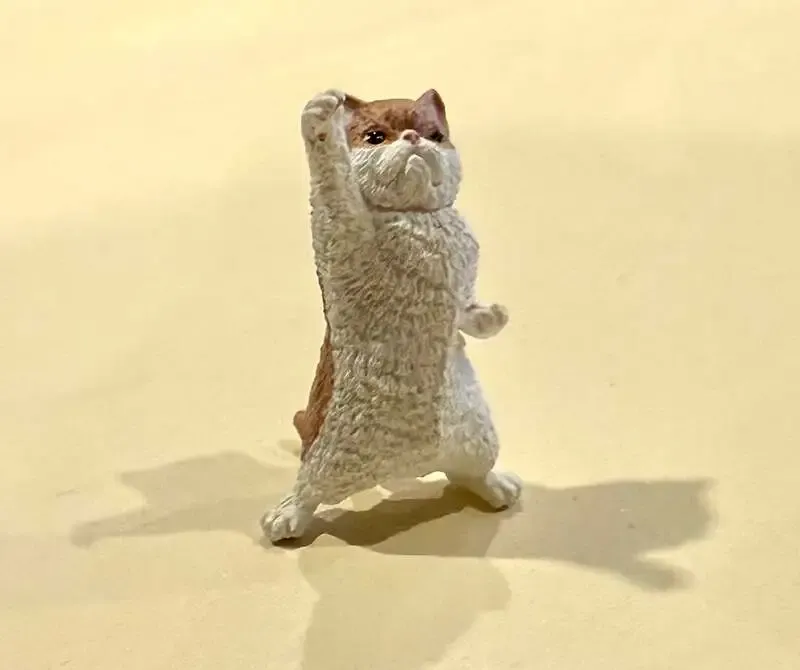 クラフトビアスポット ハトホル、水曜のタップに国産・海外12種が並ぶ