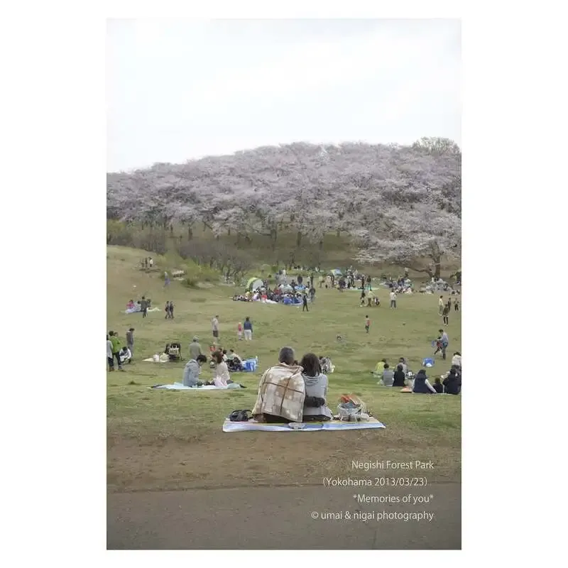 15breweryが3月27日に量り売り営業、Wheat Landなど5種を提供