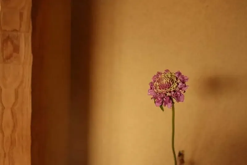 京都・麥酒 夢詠ミでベアレン醸造所「オンメンブロイ」樽生開栓