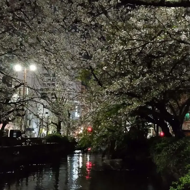 岡山市のCRAFT Rainbow、5種のタップを案内　禁煙ビアパブで営業