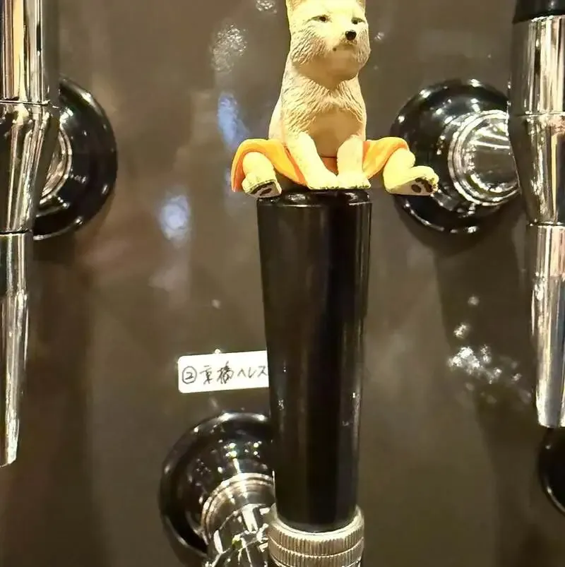 クラフトビアスポット ハトホルの4/2タップリスト、コラボ含む12種を案内