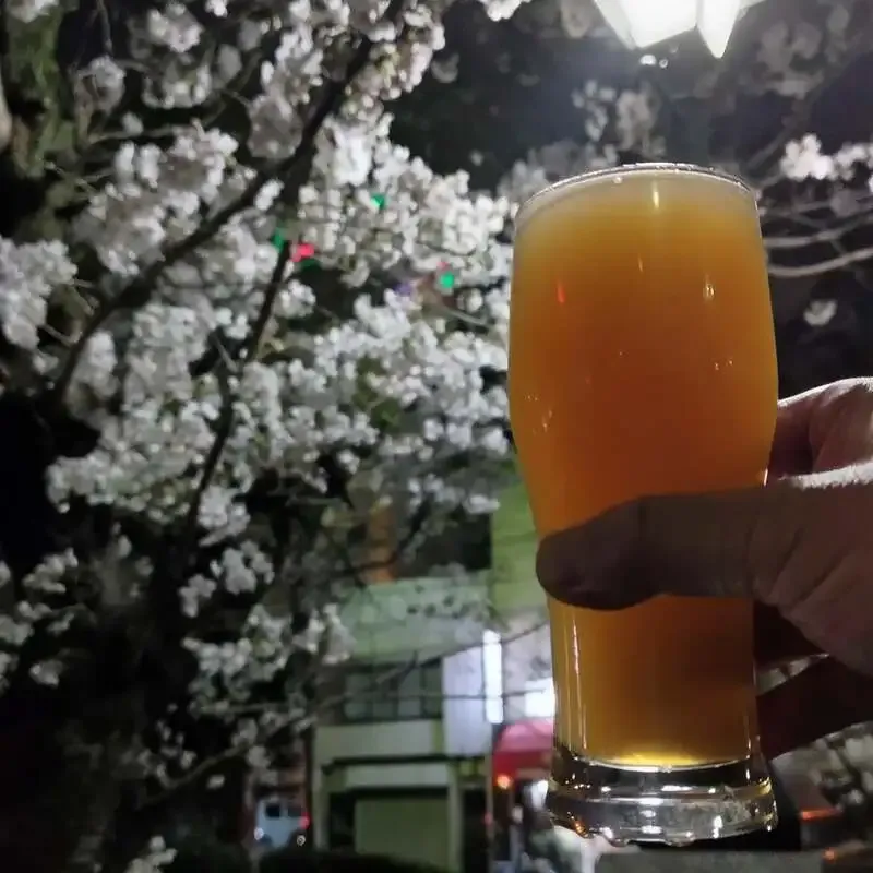 CRAFT Rainbowでしまなみブルワリーなど5種が開栓　岡山のビアパブが本日のタップ公開