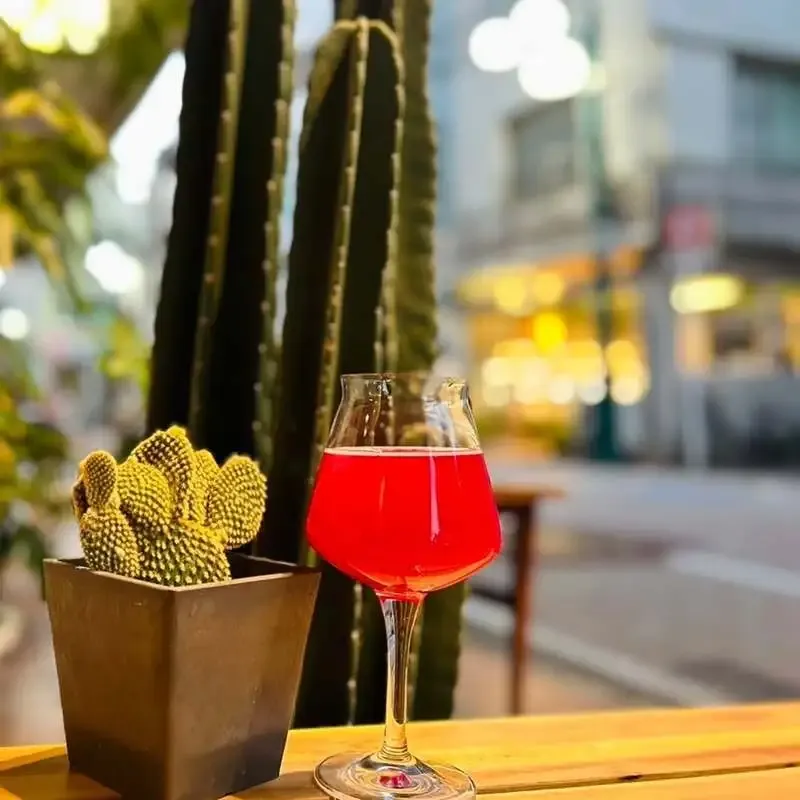 アンドビール高円寺、サボテンの実を使ったサワー『Dios mio!』を案内