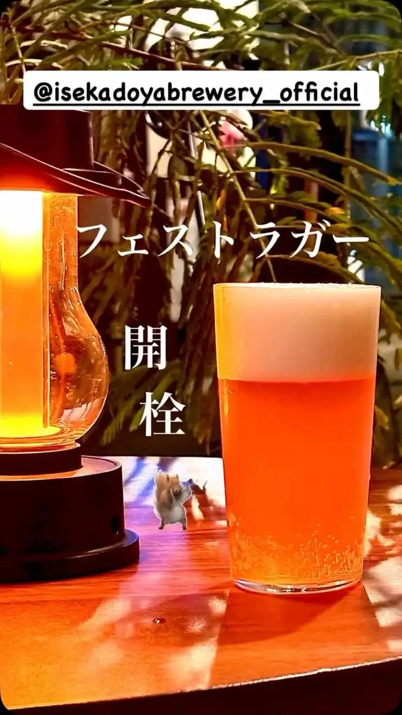 Taru Taru Taps Ise Kadoya’s Limited-Keg Fest Lager in Takamatsu