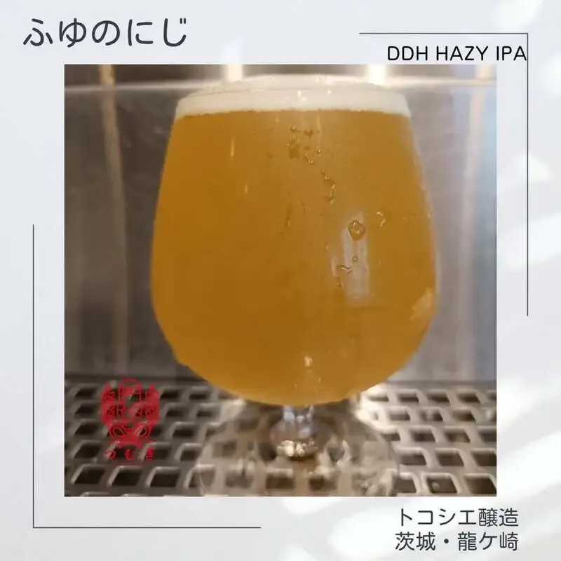 南柏のつむぎでトコシエ醸造『ふゆのにじ』が新規開栓　DDH Hazy IPA