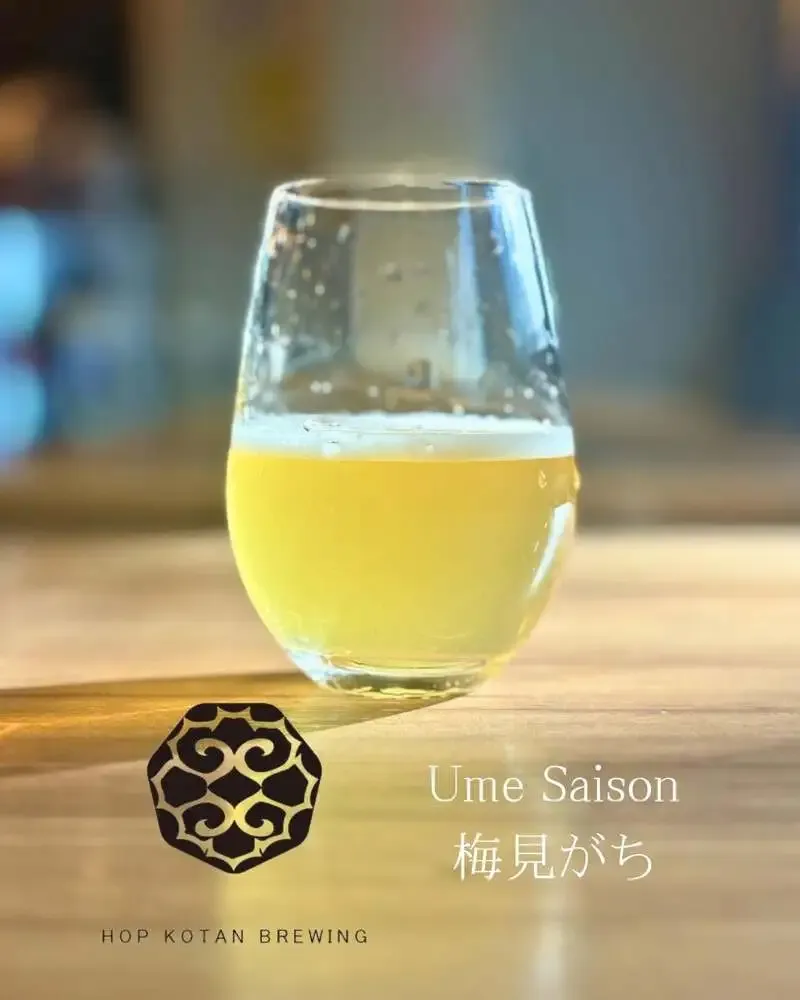 吉祥寺P2B Hausで忽布古丹『梅見がち』が新規開栓　春向けタップも充実