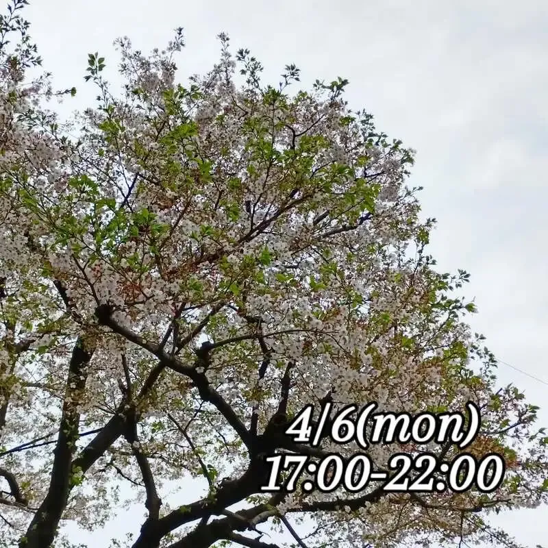 u.b.p_brewery taproom、4月6日の樽生7種と缶ビールを案内