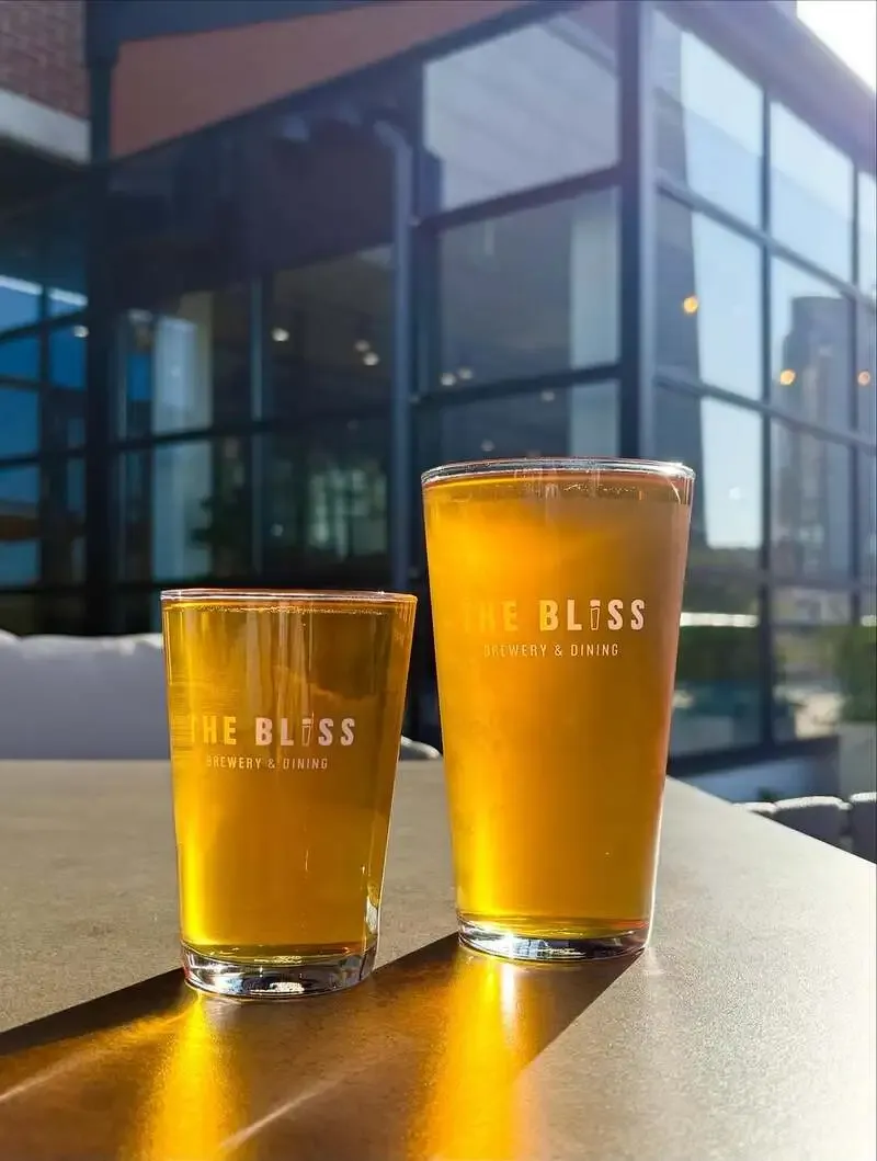 ザ ブリス ブリュワリー、ボヘミアンスタイルの新作「Zavij」を開栓