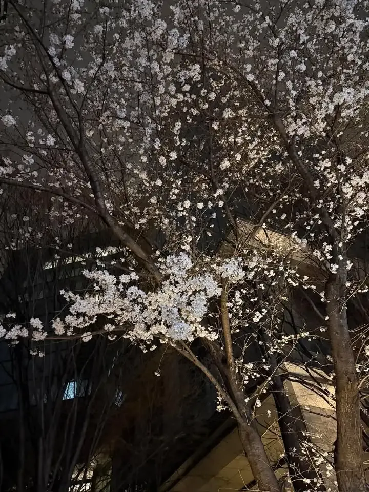 アントンビー六本木で10種の樽生が開栓　DDH WC IPAやハードティーも