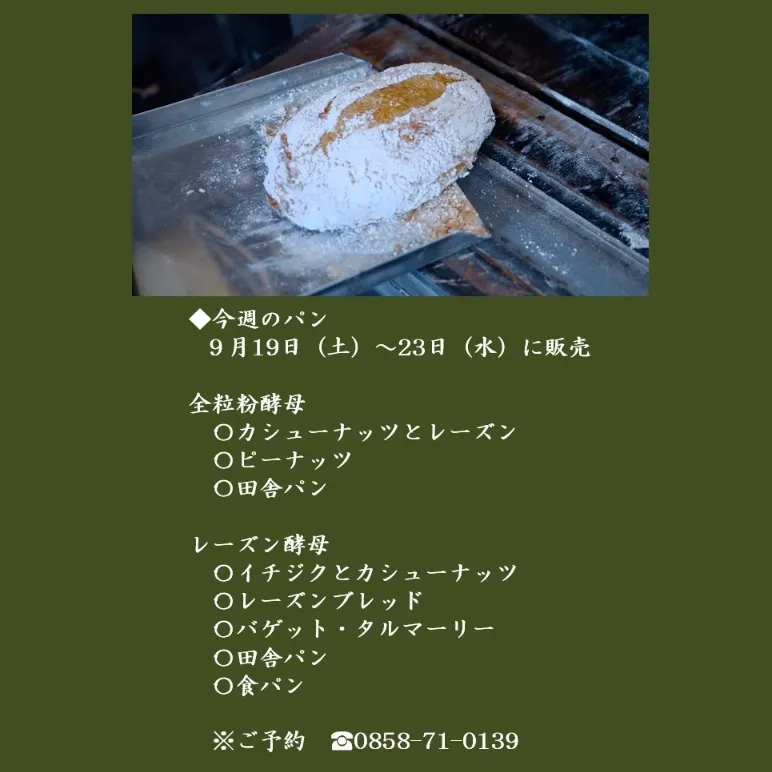 Talmary’s Mariko Shares the Brewery’s Vision for Fermentation in Chizu