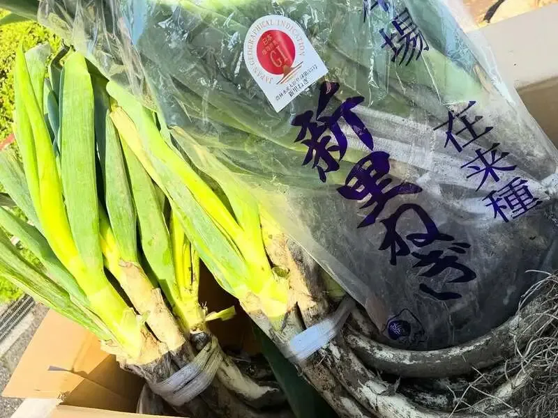 横浜ベイブルーイング戸塚支店、春のタップリストで自社ビール10種を案内