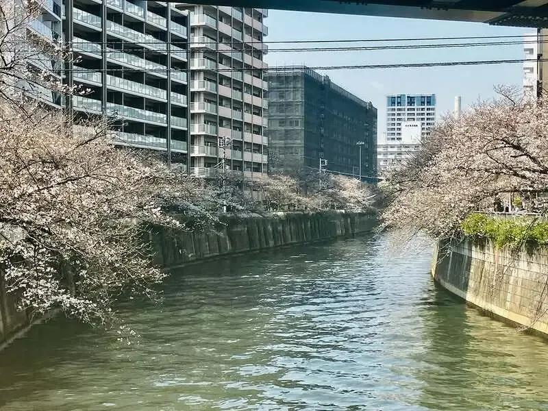 The Grafton Beer Pub、3月28日タップリスト公開　樽生14種とサイダーを用意