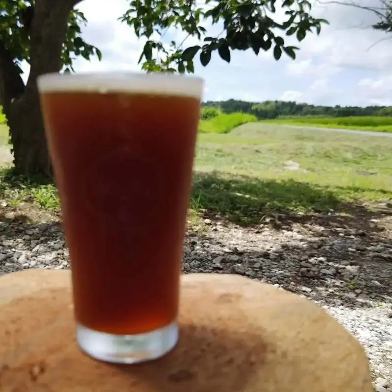 Nagara Kikorin Brewery to Set Up at the Oedo Beer Festival from May 27