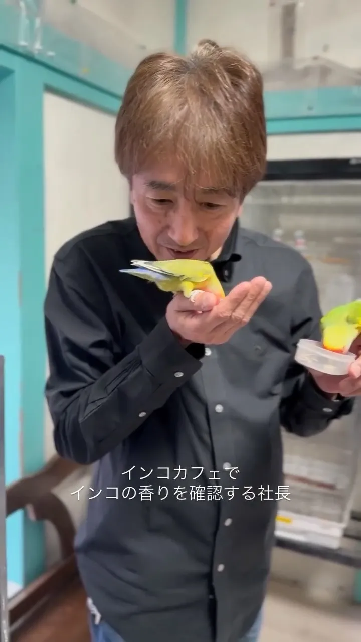 サンクトガーレン、インコの穀物ときな粉を使った限定ビールを4月1日発売