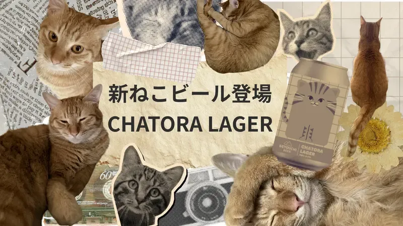 せとうちブルワリー、新作『SETOUCHI CHATORA LAGER』を発表