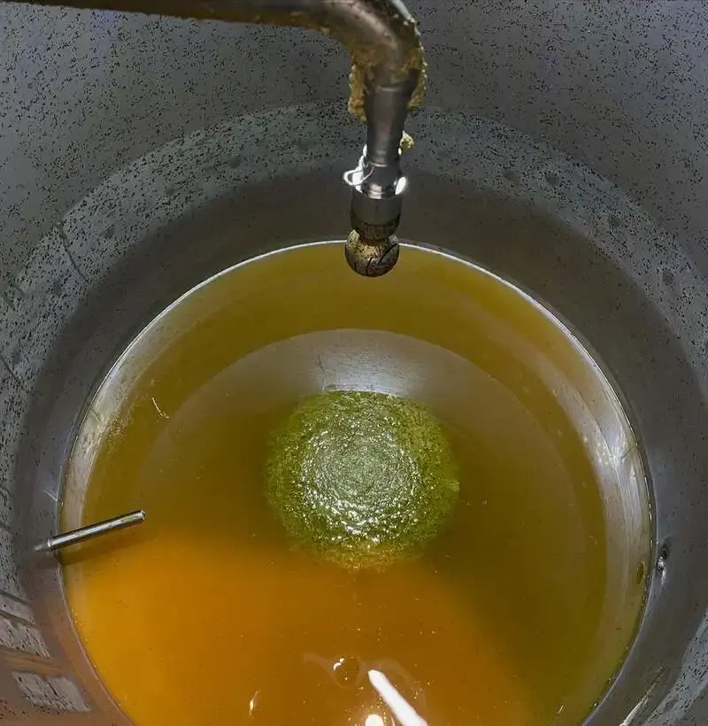 マツモトガクトブルーイング、NEIPAのワールプール後の様子を公開　5月後半リリースへ