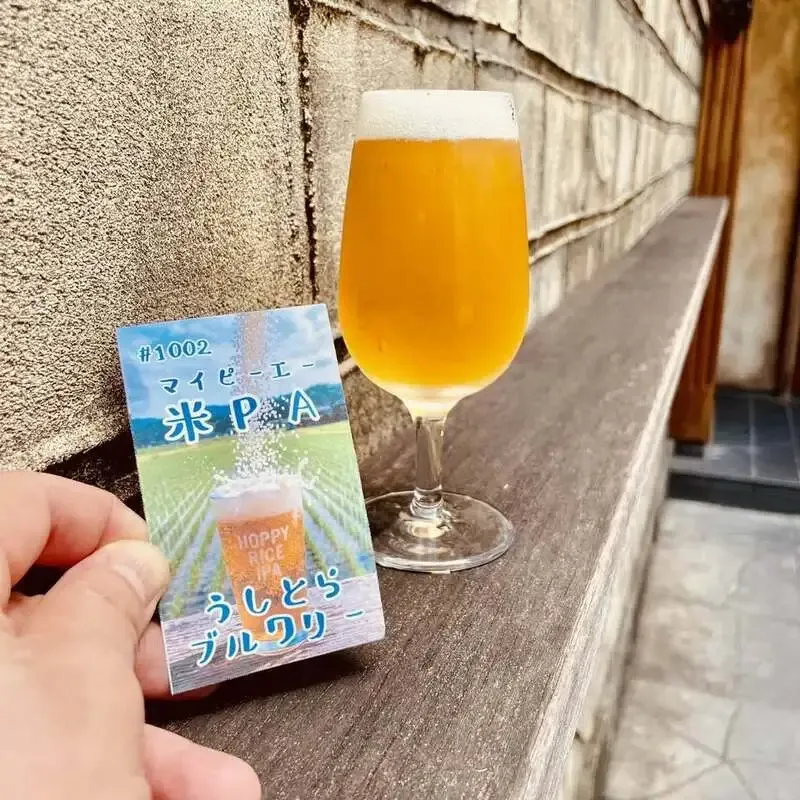 アイリッシュパブ タラモア、8月18日の樽生にギネスと志賀高原IPA、うしとらの米PA