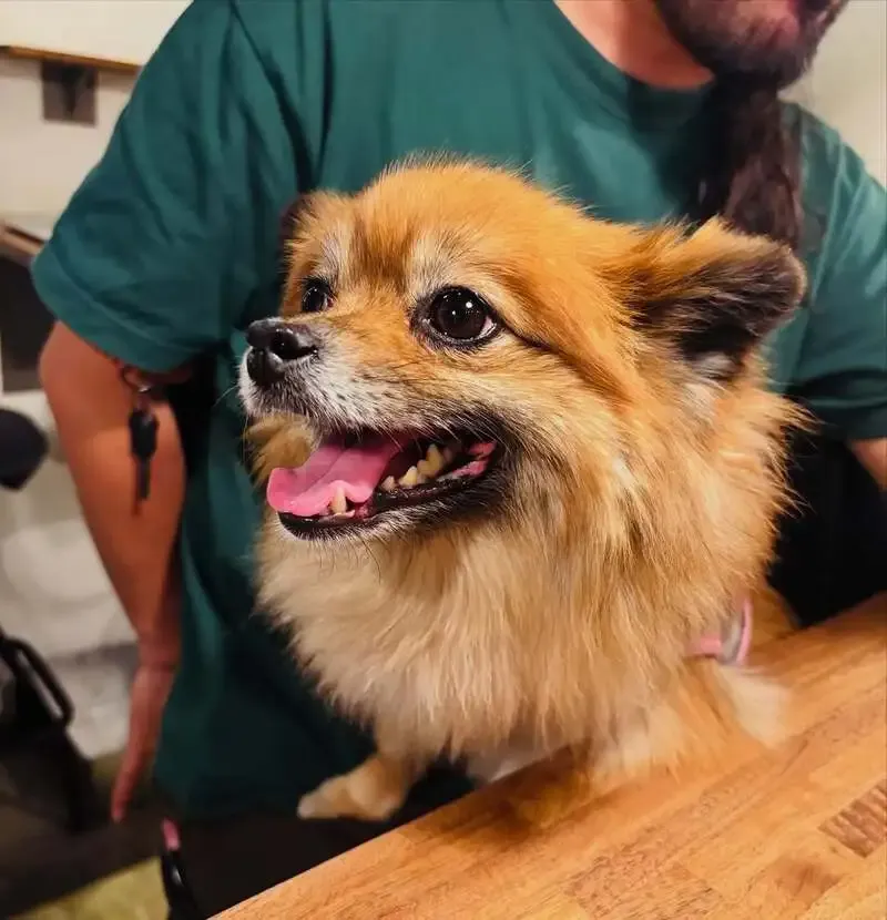 北参道のCraft Beer Tap FAM333、4月8日営業で7種の樽生を案内