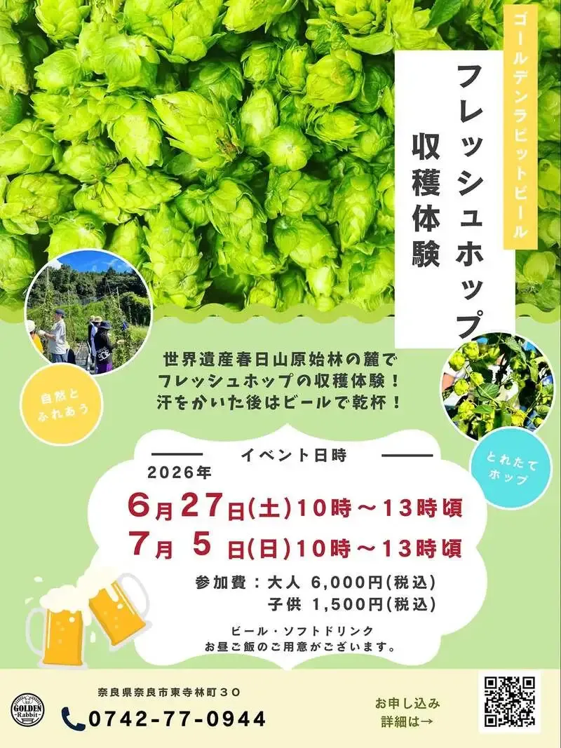 ゴールデンラビットビール、6月27日と7月5日にフレッシュホップ収穫体験を開催