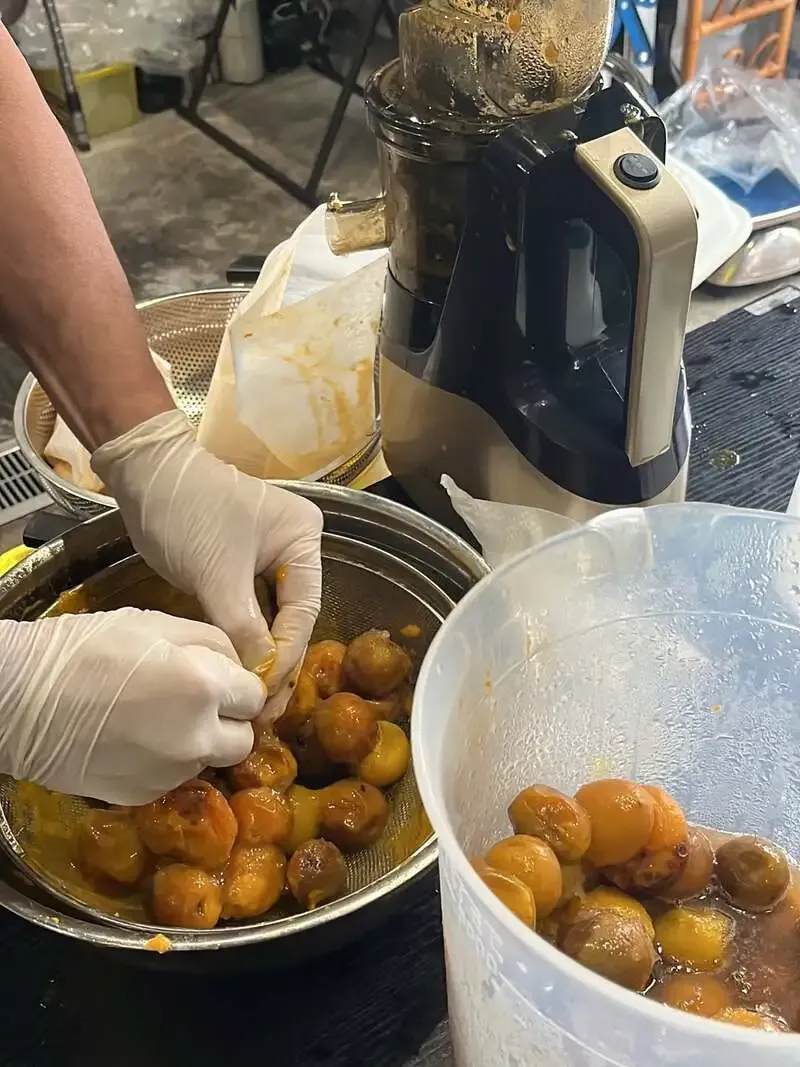Domyoji Bakushu shares prep for Tensan Ale Ume using plums from Domyoji Tenmangu