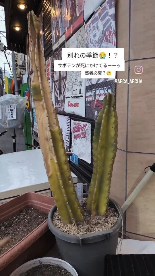 café&beer あるか→アるか、4月27日に大阪ローカル中心の9タップ開栓