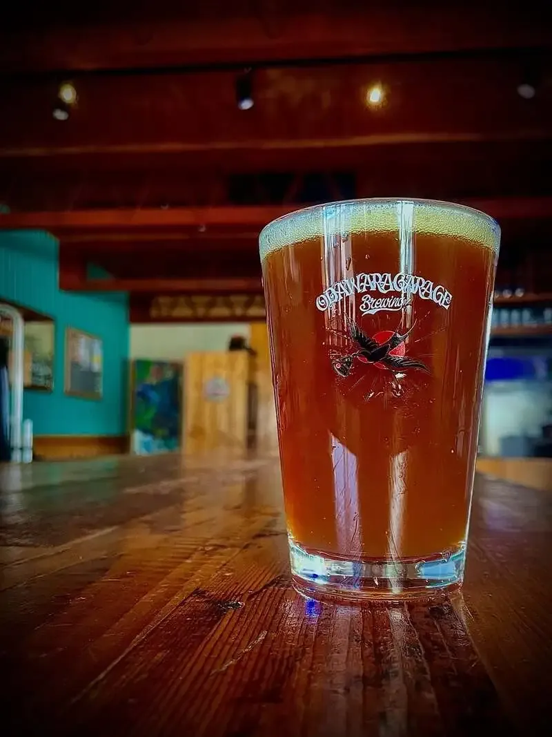 小田原ガレージブリューイング、タップルームで「サンタクロースが死んだ朝」IPAを案内