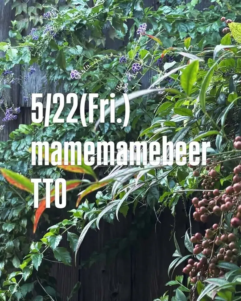 Taru Taruが小豆島・まめまめびーる初のTTOを告知、詳細は追って発表