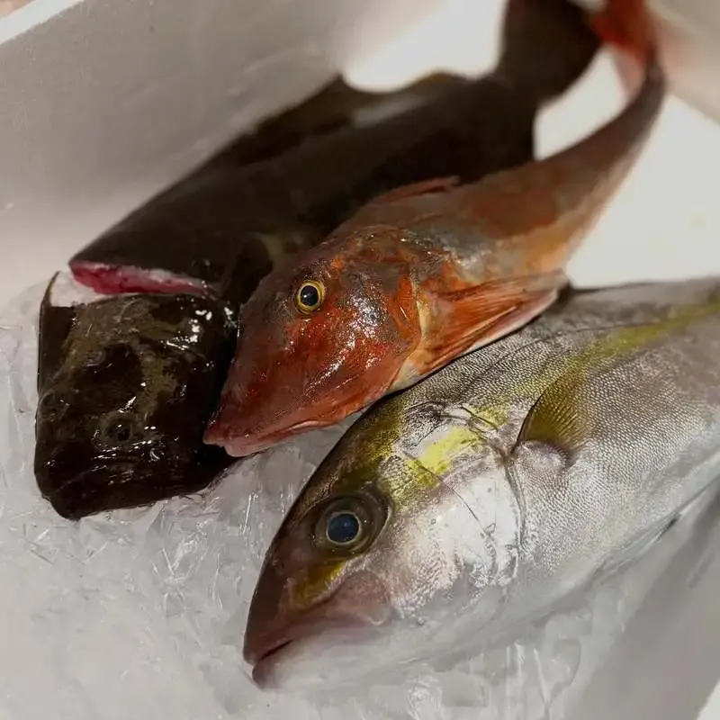 横浜ベイブルーイング関内本店、横浜ベイブルーイング13銘柄のタップリストを公開