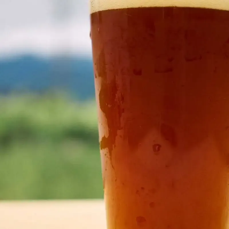 高円寺のアンドビールでIPA「Shade Break」が開栓　アメリカンホップ香る新作