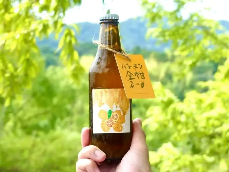 大阪渋谷麦酒、蜂蜜と金柑を使った新作「ハチミツ金柑えーる」を発表