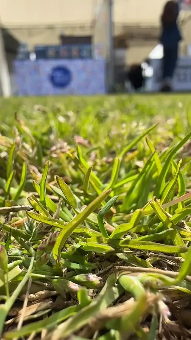 東海道BEER川崎宿工場、3月28日に「SOUND CHAIR '26」へ出店